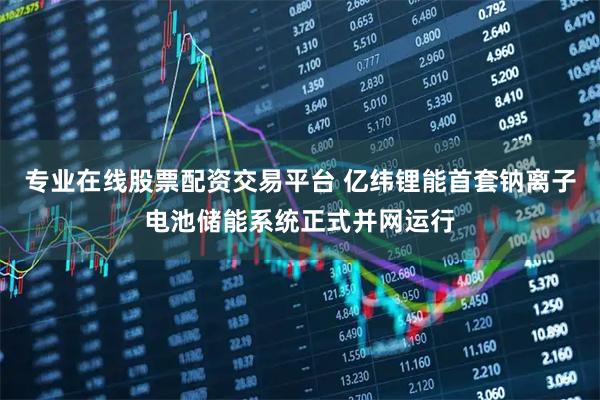 专业在线股票配资交易平台 亿纬锂能首套钠离子电池储能系统正式并网运行